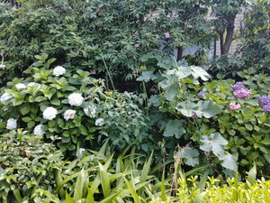 IMG20240612142430.jpg