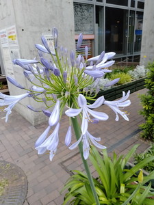 IMG20240613113353.jpg
