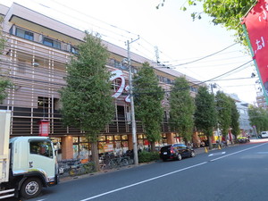 IMG_0330.jpg
