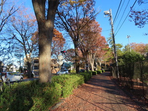 IMG_0368.jpg