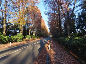 IMG_0373.jpg