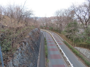 IMG_1562.jpg