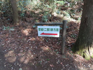 IMG_1724.jpg