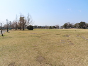 IMG_1733.jpg