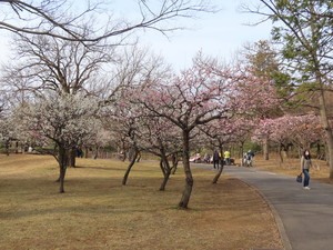 IMG_1785.jpg