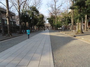 IMG_1813.jpg