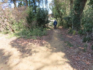 IMG_1890.jpg