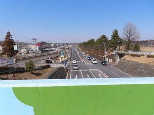 IMG_1909.jpg