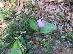 IMG_1980.jpg