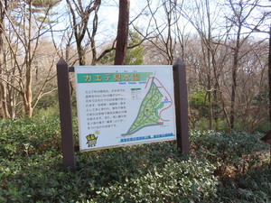 IMG_2008.jpg