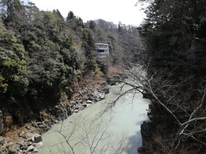 IMG_20180313_112351.jpg