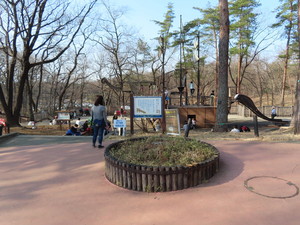 IMG_2020.jpg