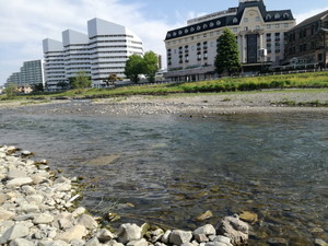 IMG_20200501_081246.jpg