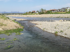 IMG_20200501_093746_1.jpg