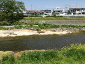 IMG_20200501_102955.jpg