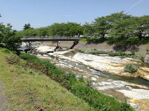 IMG_20200501_103118.jpg