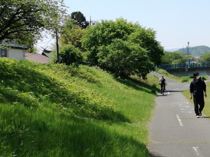 IMG_20200501_104423.jpg