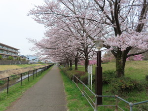 IMG_2150.jpg