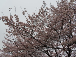 IMG_2163.jpg