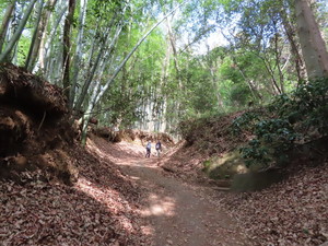 IMG_2214.jpg