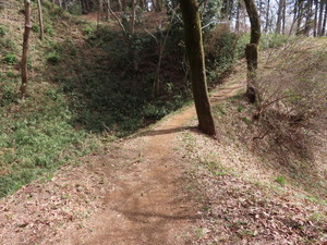 IMG_2250.jpg