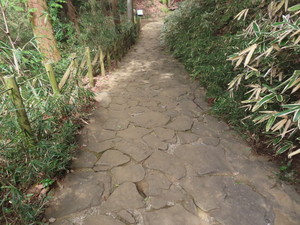 IMG_2299.jpg