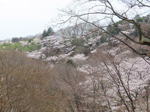 IMG_2320.jpg