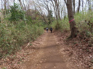 IMG_2336.jpg