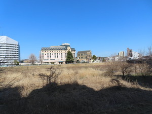 IMG_2352.jpg