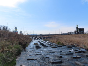 IMG_2356.jpg