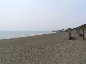 IMG_2441.jpg