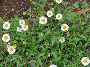 IMG_2543.jpg