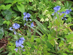 IMG_2548.jpg