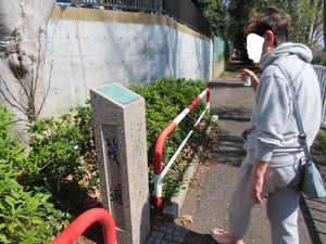 IMG_2560.jpg