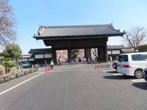 IMG_2561.jpg
