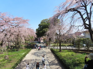IMG_2562.jpg