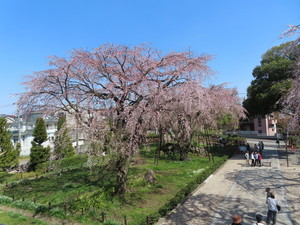 IMG_2563.jpg