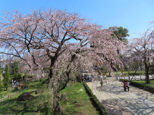 IMG_2565.jpg