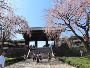 IMG_2567.jpg