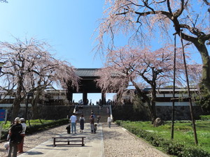 IMG_2568.jpg