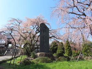 IMG_2569.jpg