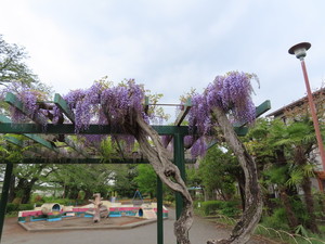 IMG_2569.jpg