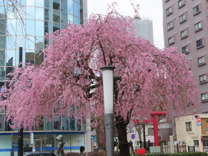 IMG_2574.jpg