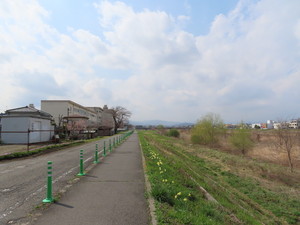 IMG_2584.jpg