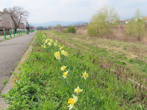 IMG_2585.jpg