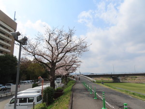 IMG_2588.jpg