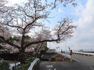 IMG_2589.jpg