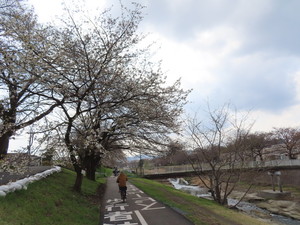 IMG_2592.jpg