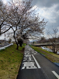 IMG_2593a.jpg
