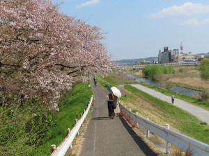 IMG_2698.jpg